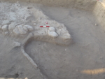 v181